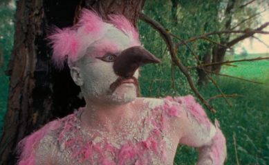 Cream Soda и Алена Свиридова охотятся на Никиту Кукушкина в клипе «Розовый фламинго»